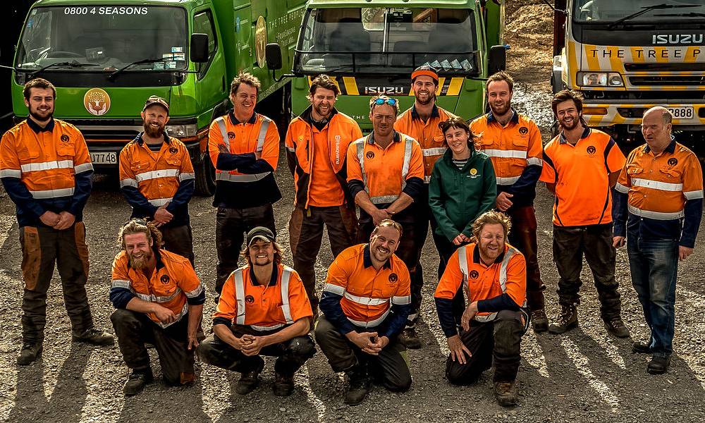 Christchurch local arborists receive highest stamp of approval in arboricultural industry